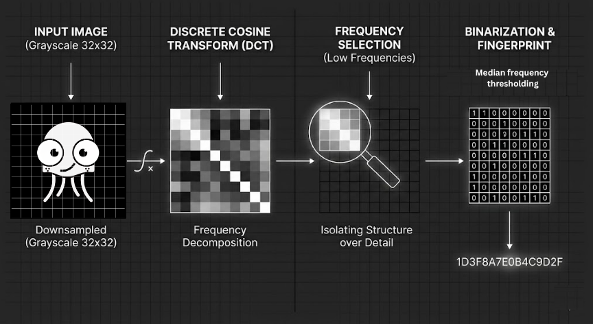 DCT frequency matrix — low frequencies in the top-left corner encode the image's core structure
